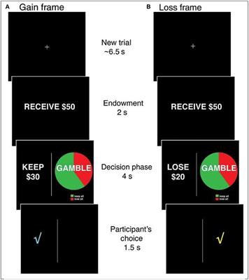 Neural Underpinnings of Financial Decision Bias in Older Adults: Putative Theoretical Models and a Way to Reconcile Them